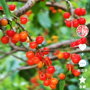 不在六充半分币，浪吧