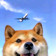 情愫🌝