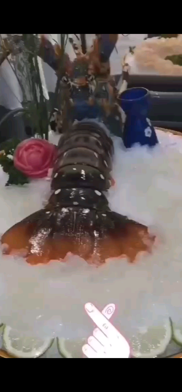 ～