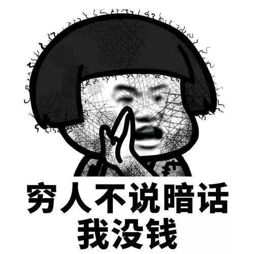 爱白嫖的老北鼻海报