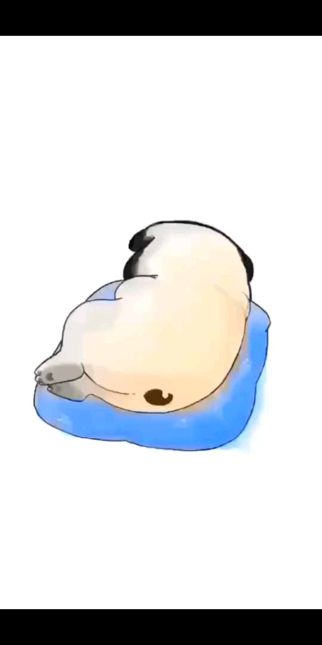 如果有幸能被人看出我
