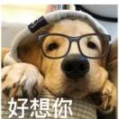 阳光城$