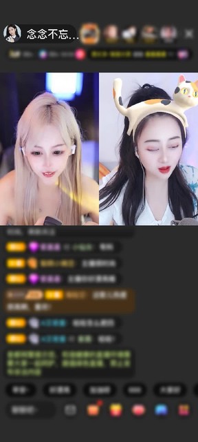 感谢神秘人赠送天空游乐园1个