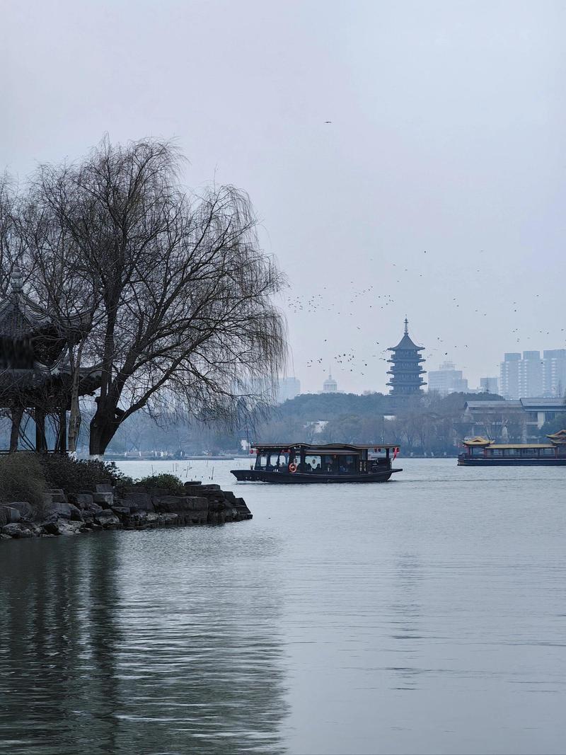 萌新宝宝cbll的图片