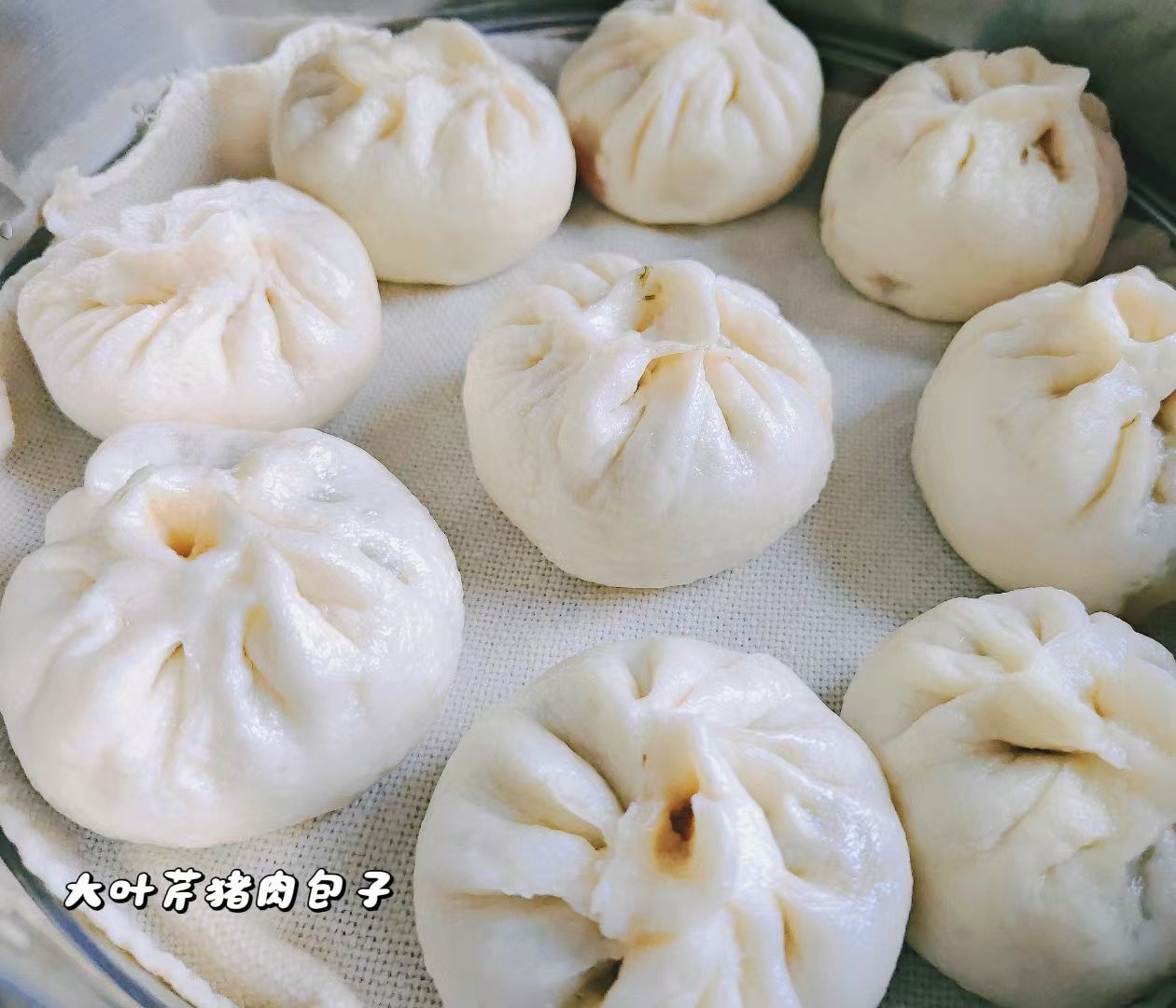 南北🎤的图片