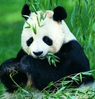 晚安啦宝贝的图片