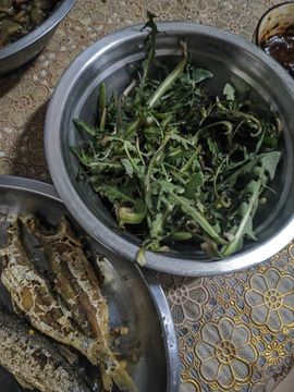 天王盖地虎044主播照片