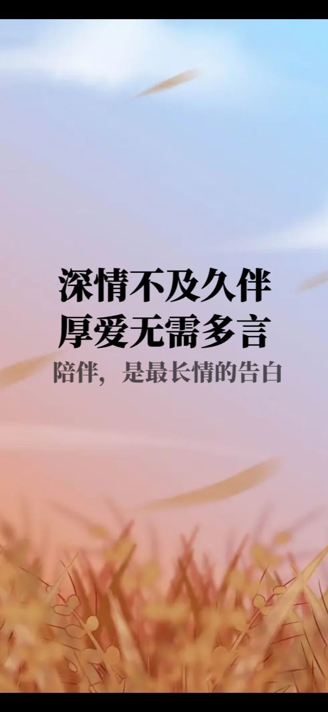 丑小鸭💞愿有一束光的图片