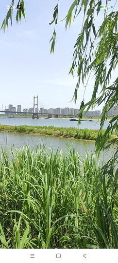 婷婷💕求过月底任务主播照片