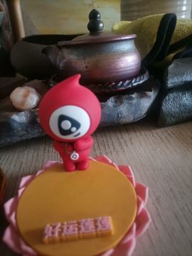 葉脉書簽主播照片