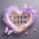 静心wtn