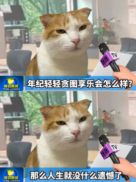 小葵葵葵葵葵。的图片