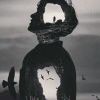 花证明海报