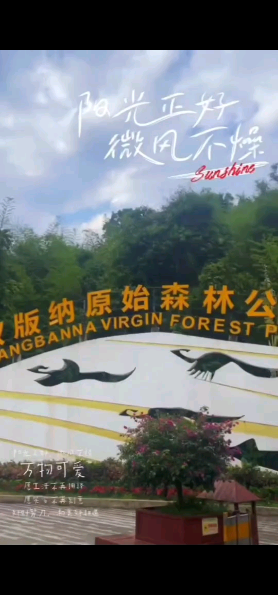 世界那么大，需要用脚