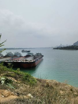 168888大叔主播照片