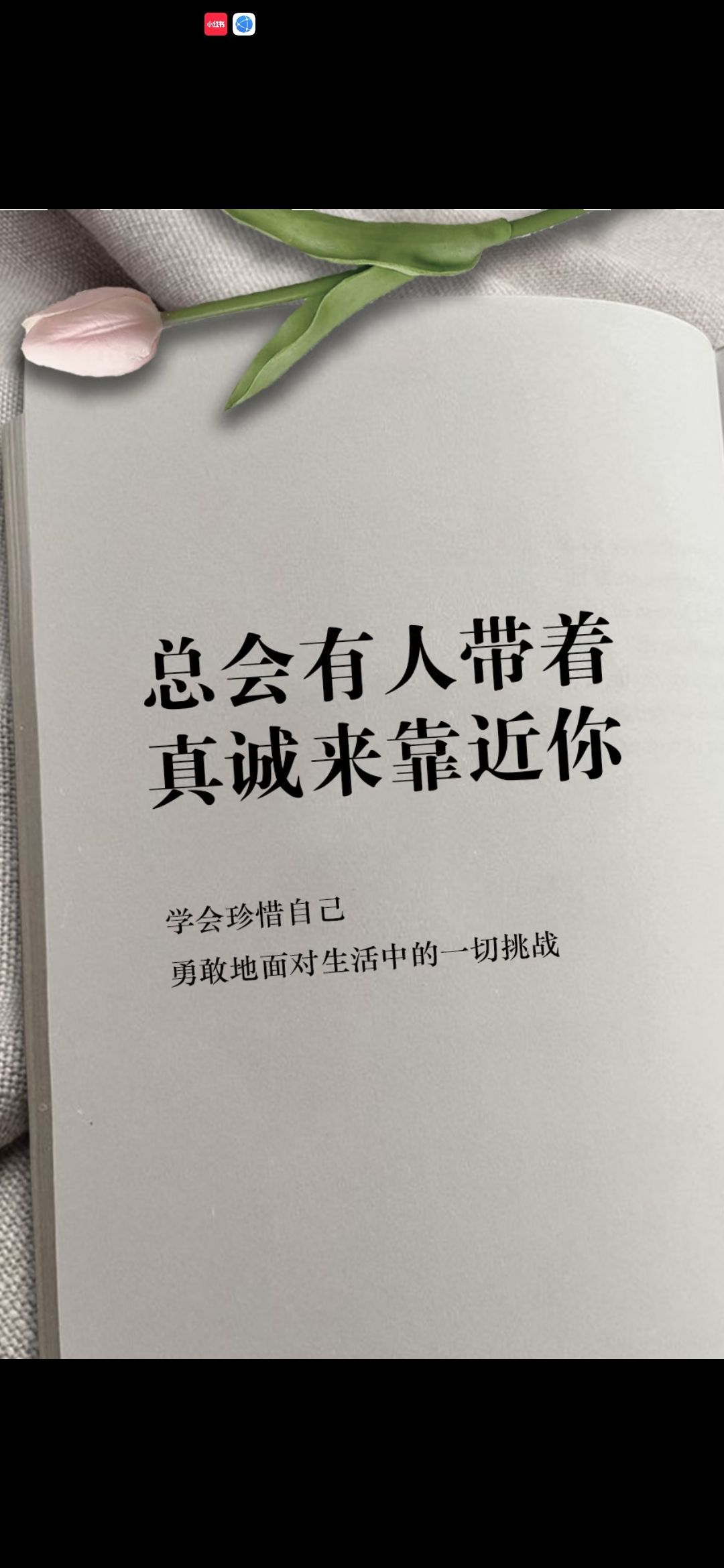 丑小鸭💞愿有一束光的图片
