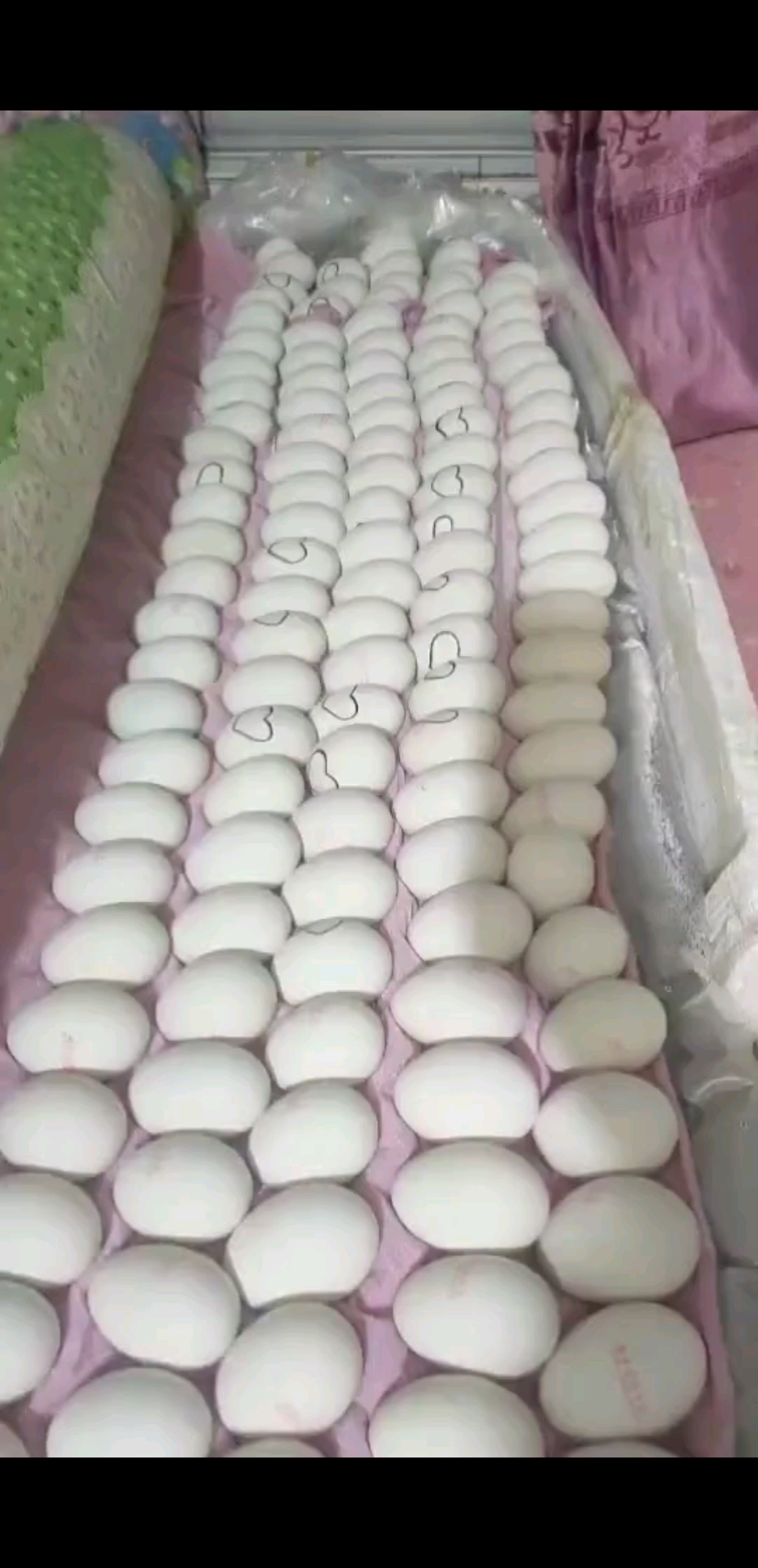 馬上出殼啦