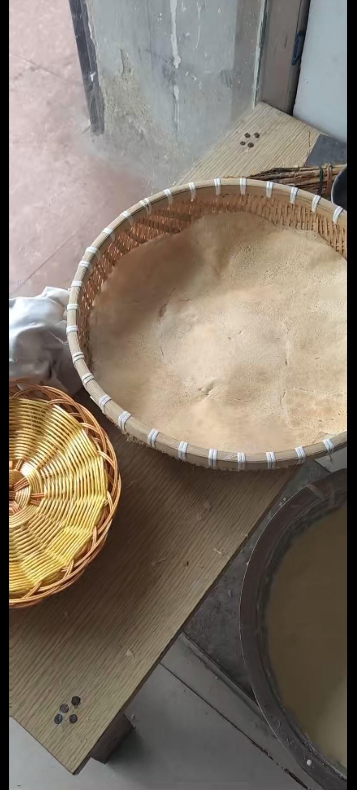 .带刺的玫瑰.的图片