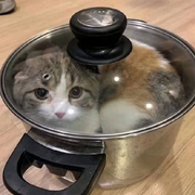 ~无糖