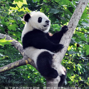 走冷风中ღ吹着空调ღ