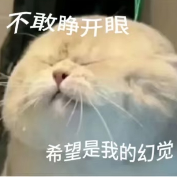 洁儿贺肚肚国公主播图片