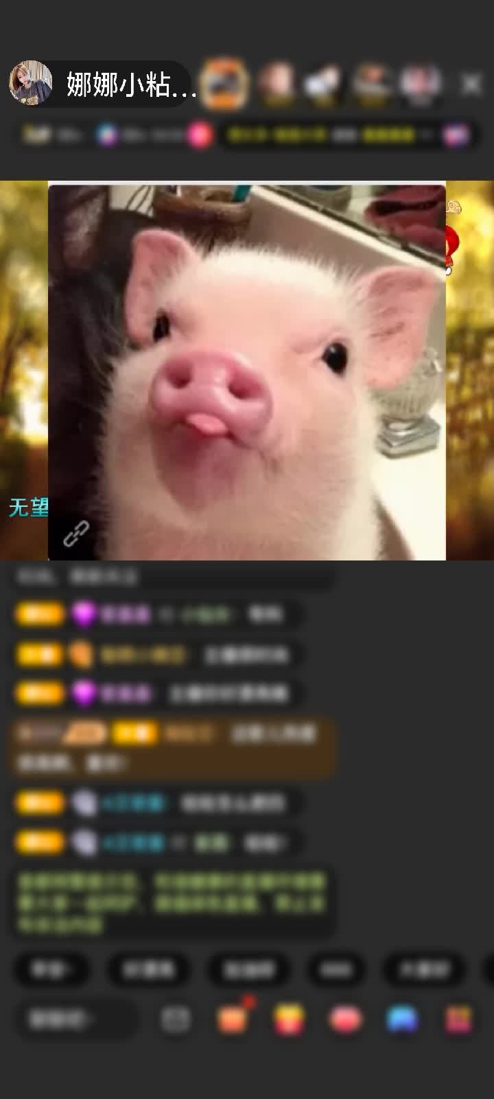 感谢国民萌叔^_^赠送大闹天宫1个