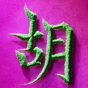 胡小枫【枫行天下】