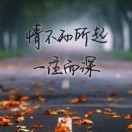 任我行tzg
