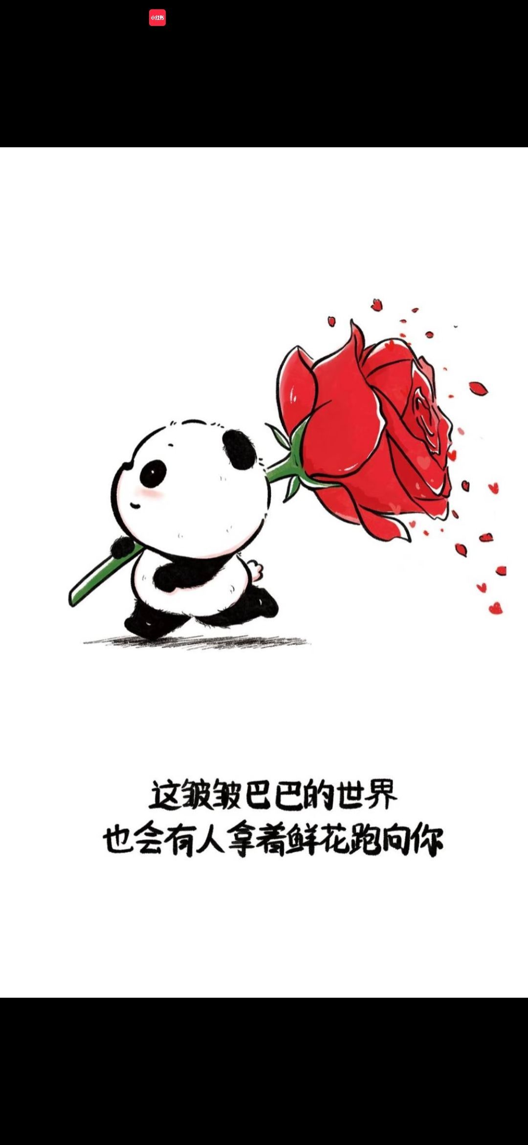 丑小鸭💞愿有一束光的图片