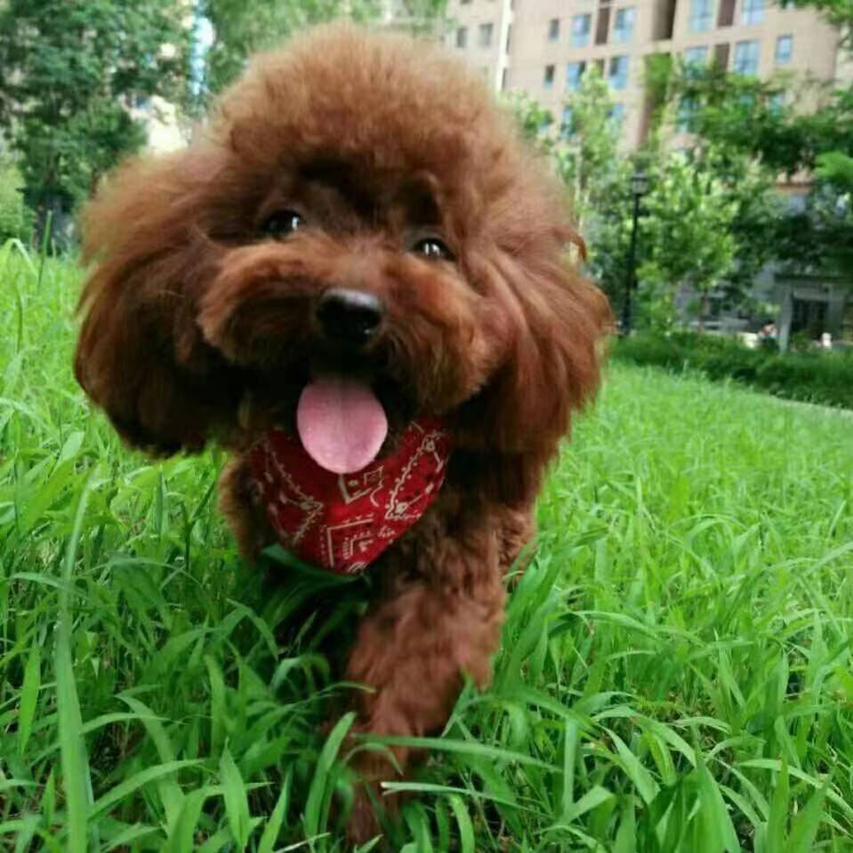 雪菜♫好运好运旺主播图片