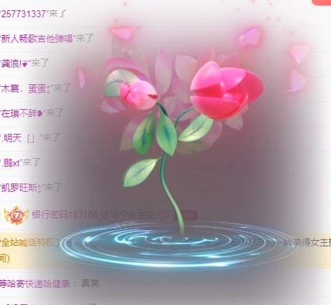 雪雪又胖了的图片