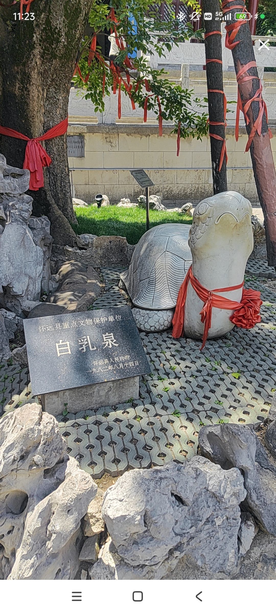 婷婷💕感恩有你陪伴的图片