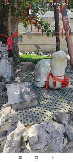 婷婷💕求过月底任务主播照片