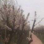 而立不或