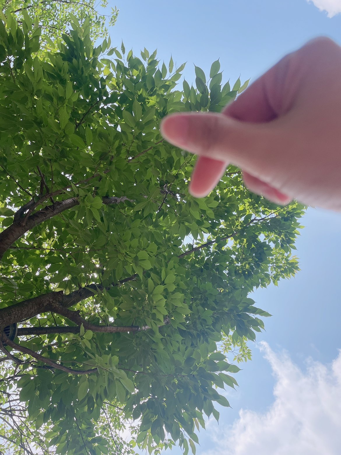 魔萱🎀的图片