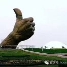 为理想而奋斗20