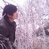 胜8jd