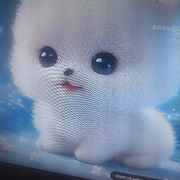 姑娘不动我不动的头像