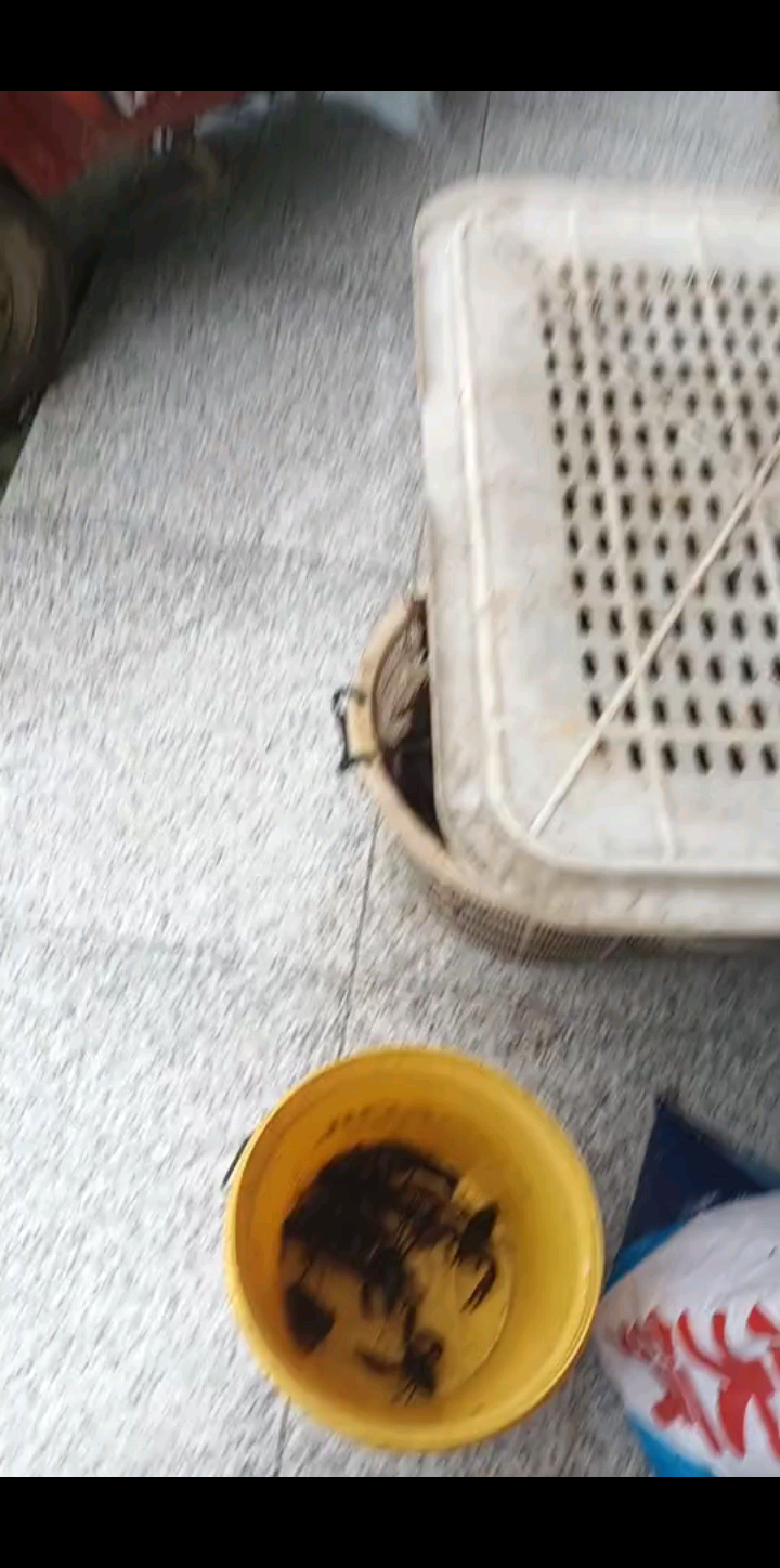 好家伙