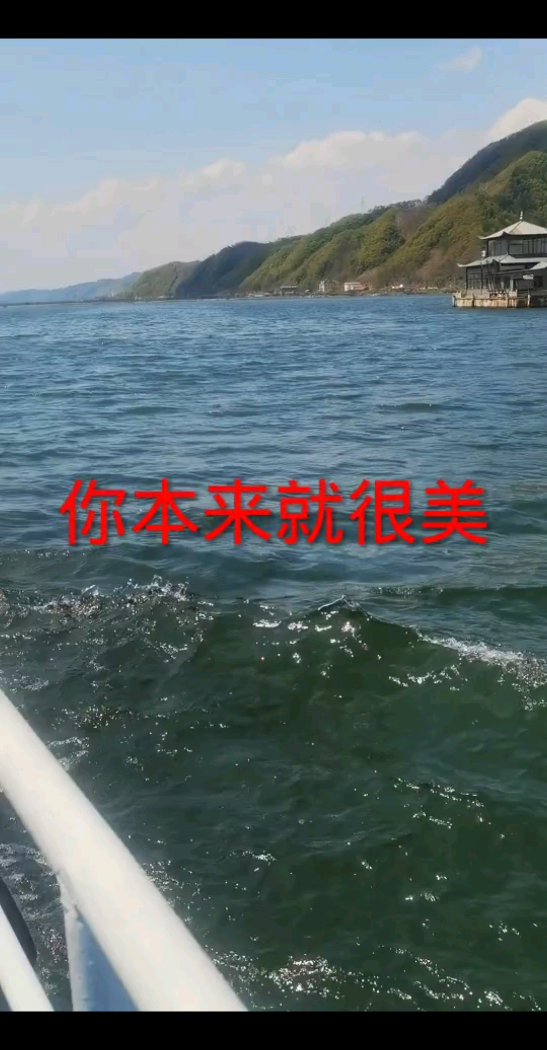 无心插柳，其实都是水到渠成。