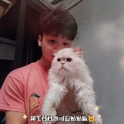 清风拂月明