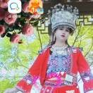 莲馨c