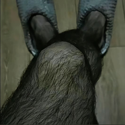 喜哥☏
