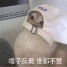 凌棱柒