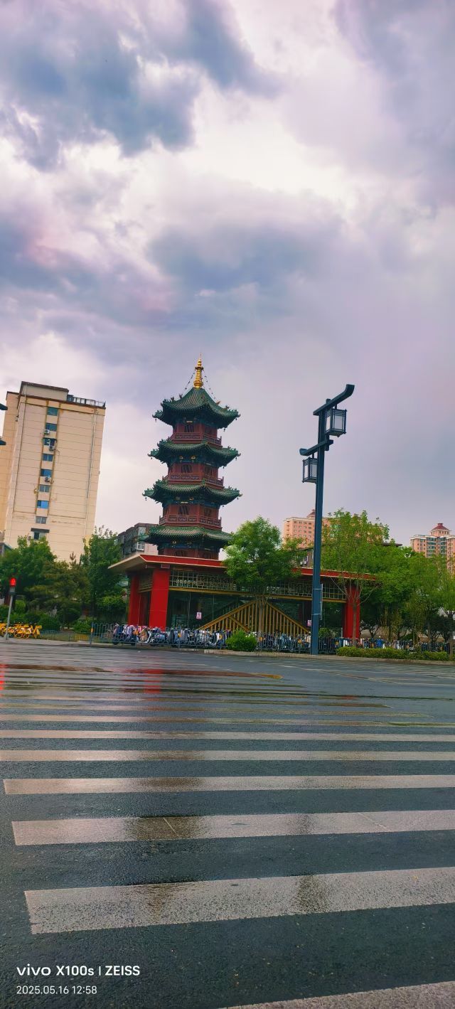 妞妞骑行全国的图片
