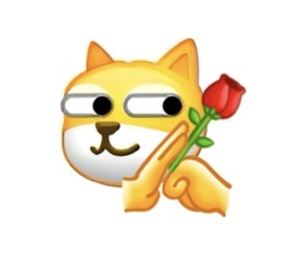 圆喵喵🐯主播照片