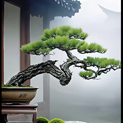 舍得✨海报