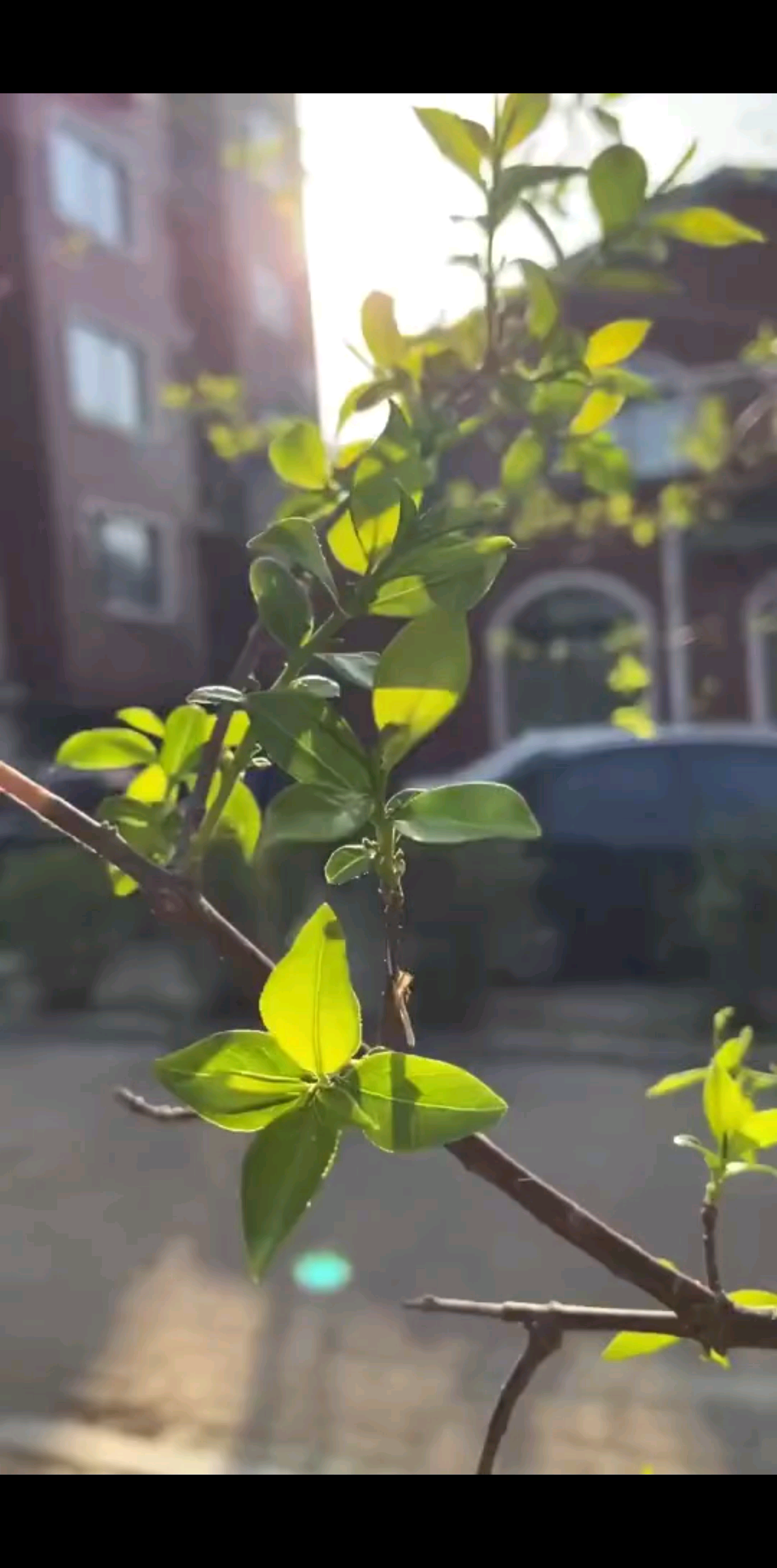 这一刻，静静的在等你……