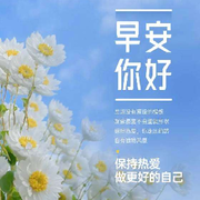 你好！早安