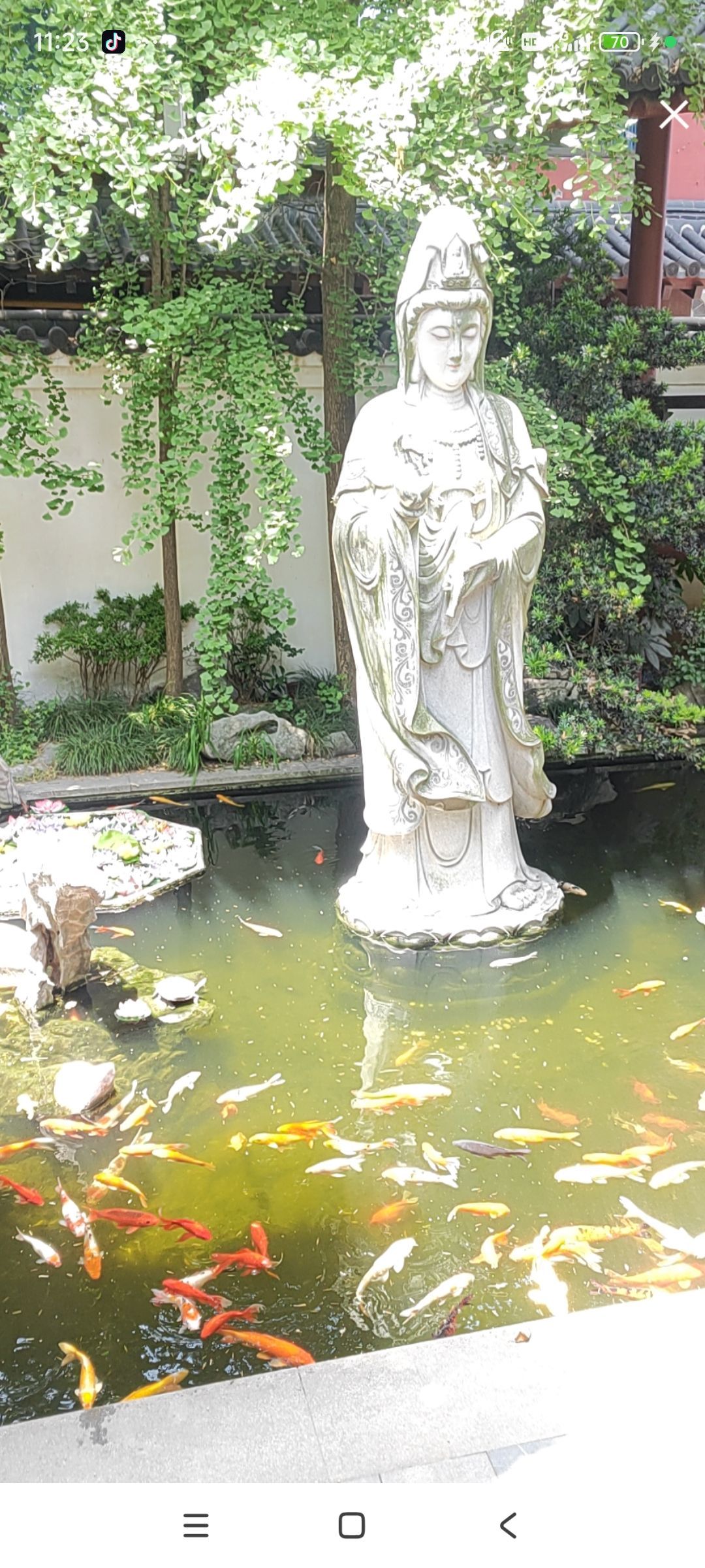 婷💕求过月底任务的图片